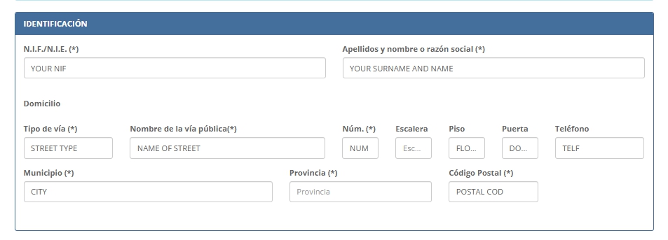 Enter personal details to pay the TIE fee